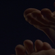 Brian-justin-1x01-1959.png